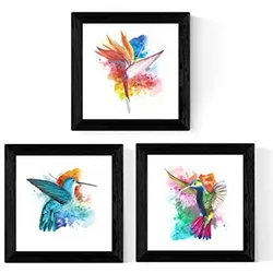 POSTER Set Mit 3 Kolibris Natur 25X25cm Rahmenlos