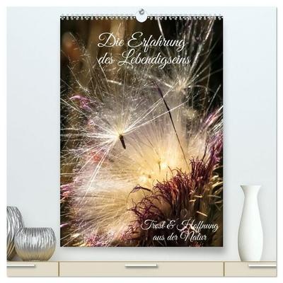 Die Erfahrung des Lebendigseins (hochwertiger Premium Wandkalender 2027 DIN A2 hoch), Kunstdruck in Hochglanz
