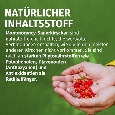 Green Naturals Cherry Montmoren.Sauerk.2100 mg Kps 180 St Kapseln