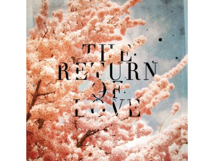 Woolfy Vs Projections - The Return Of Love