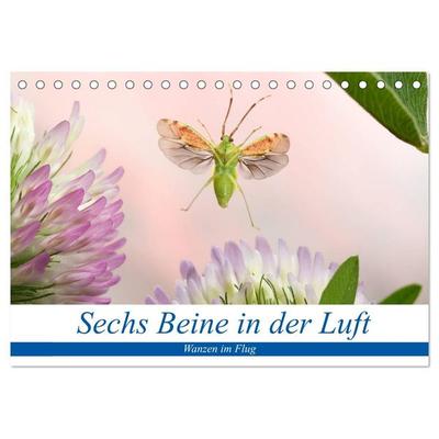 Sechs Beine in der Luft - Wanzen im Flug (Tischkalender 2027 DIN A5 quer), CALVENDO Monatskalender