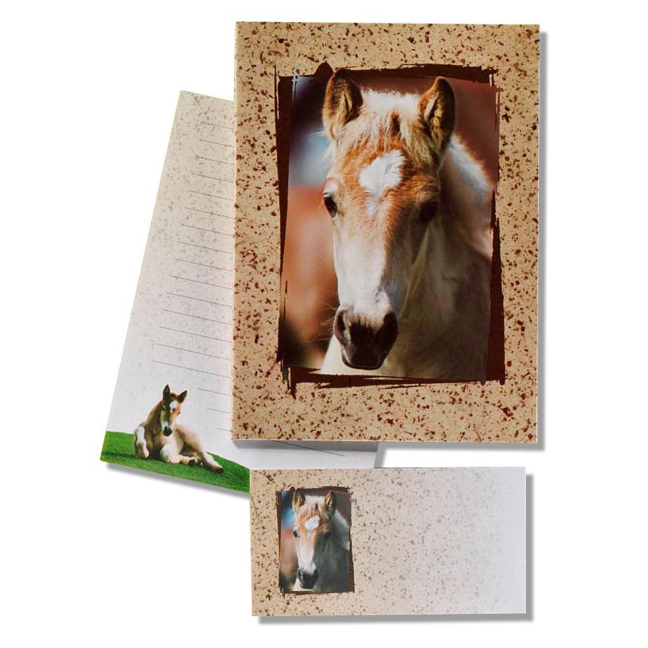 Roost Briefpapier Fohlen (10 Stk.) (180344)