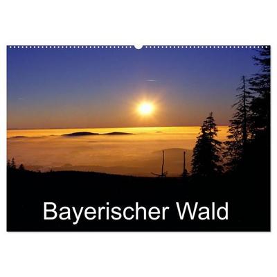 Bayerischer Wald (Wandkalender 2026 DIN A2 quer), CALVENDO Monatskalender