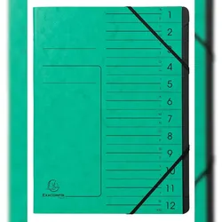 Exacompta 541203E 10x Ordnungsmappe mit Gummizug, innen schwarz, 12 Fächer - A4 - Grün