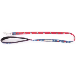 Image Cap Dog (Hund, Spazieren), Halsband + Leine
