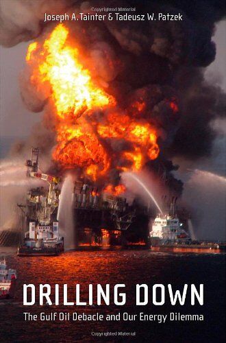 Tainter, Joseph A. - Drilling Down: The Gulf Oil Debacle and Our Energy Dilemma - Preis vom 12.10.2026 11:37:12 h