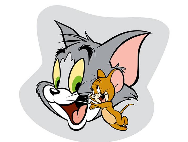 Tom & Jerry sierkussen Tom 35cm