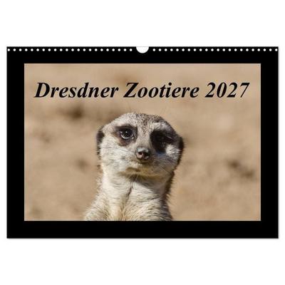 Dresdner Zootiere 2027 (Wandkalender 2027 DIN A3 quer), CALVENDO Monatskalender