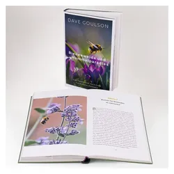 Bienenweide und Hummelparadies, Ratgeber von Elsbeth Ranke, Dave Goulson