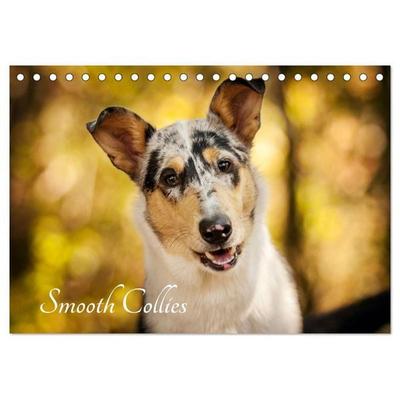 Smooth Collies (Tischkalender 2026 DIN A5 quer), CALVENDO Monatskalender