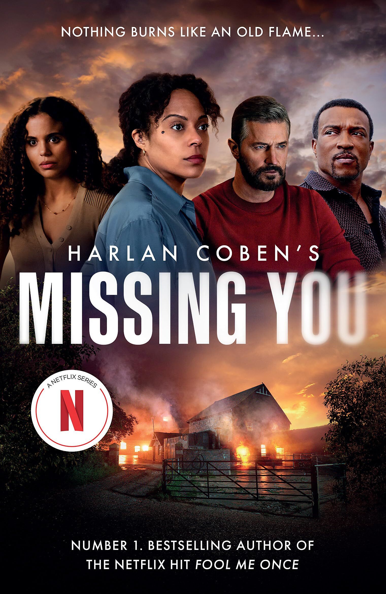 Harlan Coben - Missing You: The shocking and addictive thriller, now a major Netflix TV series - Preis vom 30.09.2026 22:30:23 h