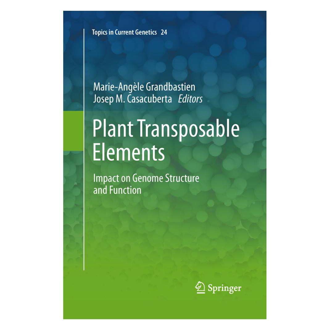 Springer Plant Transposable Elements (Englisch, Softcover, Josep Casacuberta, Marie-Angèle Grandbastien) (55595963)