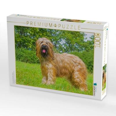 CALVENDO Puzzle Eine wahre Schönheit - Briard | 1000 Teile Lege-Größe 64x48cm Foto-Puzzle für glückliche Stunden