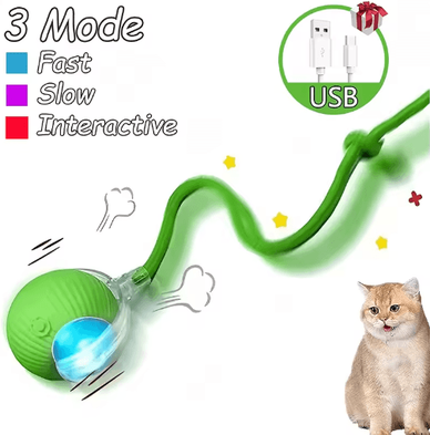 Inspire Picks Smart Rolling Cat Toy Ball With Faux Tail Rechargeable Interactive Pet Training Toy green