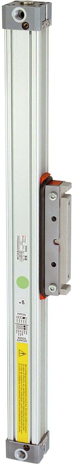 Riegler Kolbenstangenloser Zylinder, doppeltwirk., Kolben-Ã˜ 25, Hub 900 (6.DD.250900)