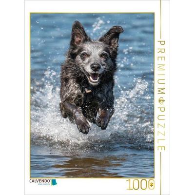 CALVENDO Puzzle Plitsch, Platsch ist das ein SPass | 1000 Teile Lege-Größe 64x48cm Foto-Puzzle für glückliche Stunden, Game von , Calvendo Puzzle
