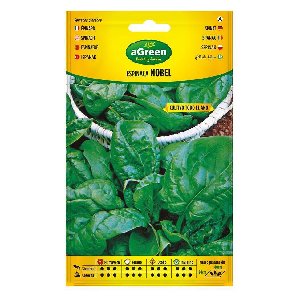 Agreen About spinach seeds nobel 000383bolsh (Gemüsesamen) (49442468)