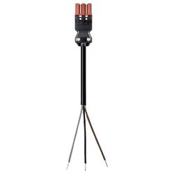 Wieland Electric 92.232.3003.4 Anschlussleitung Schwarz 3 m