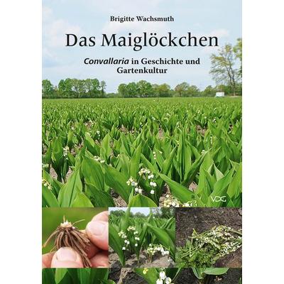 Das Maiglöckchen, Taschenbuch von Brigitte Wachsmuth, VDG Weimar - Verlag und Datenbank für Geisteswissenschaften, 978-3-89739-998-3
