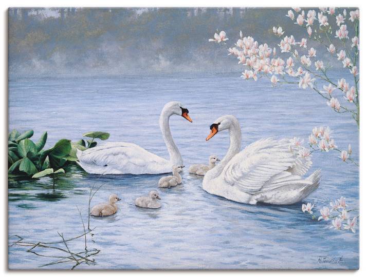 Leinwandbild ARTLAND Stolze Schwanenfamilie , weiss (farbe bild(er): weiß), B:60cm H:45cm, Bilder, Leinwandbild, auf Holzrahmen gespannt