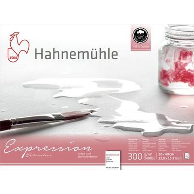 Hahnemühle Papier Expression Watercolour, 30 x 40 cm, 300 g/m²
