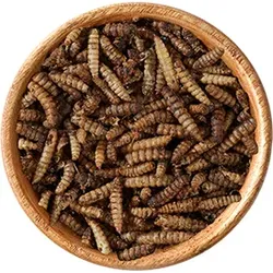 elles Hermetialarven 125g 5x125 g