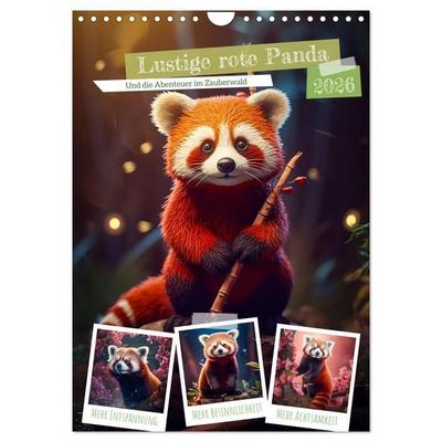 Lustige rote Panda (Wandkalender 2026 DIN A4 hoch), CALVENDO Monatskalender