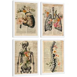 POSTER Set aus 4 Anatomie Drucke und Wandbilder mit Leber Lungen Atmungssystem Skelett Schädel Wirbelsäule Vintage Zeitungsstil Größe Weißer Rahmen A4