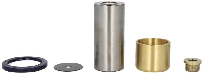 LEMA 235 Repair Kit, kingpin