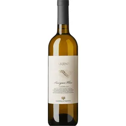 Arjent  Sauvignon DOP 2024, Cantina di Trento, Südtirol - Trentino