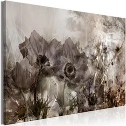 Artgeist, Bilder, Anemones in Sepia (1 Part) Wide (120 x 80 cm)