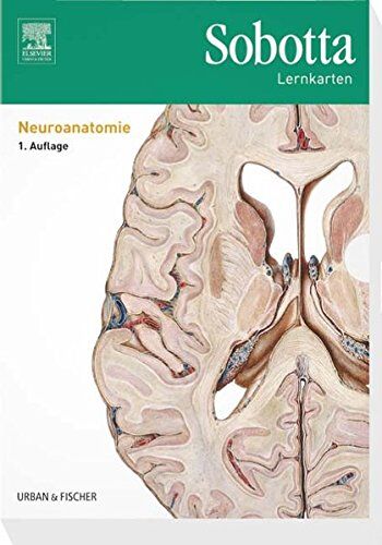 Lars Bräuer - Sobotta Lernkarten Neuroanatomie - Preis vom 30.09.2026 09:01:18 h