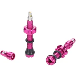WOLF TOOTH Tubeless Ventile Stem Kit | pink 60 mm