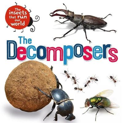 The Insects that Run Our World: The Decomposers, Gebundene Ausgabe von Sarah Ridley, Hachette Books Ireland, 978-1-5263-1403-1