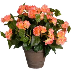 Mica Decorations, Kunstpflanzen, Begonien Kunstpflanze im Blumentopf Stan - H37 x Ø36 cm - Lachsrosa (37 cm)