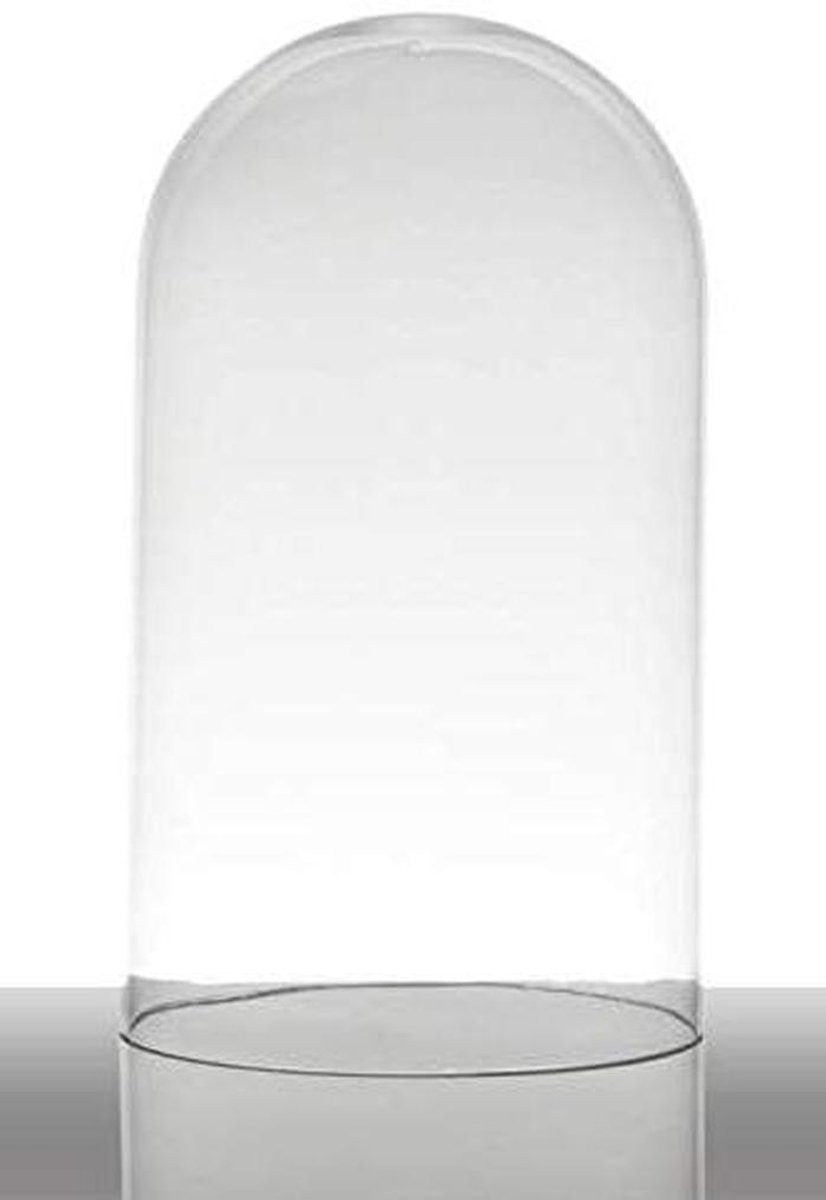 Glazen stolp Helder Decoratieve koepel Hoogte: 28 cm