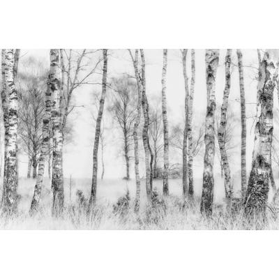 Fototapete PAPERMOON "Photo-Art NEL TALEN, SCHWARZ UND WEISS", bunt, B:5m L:2,8m, Vlies, Tapeten