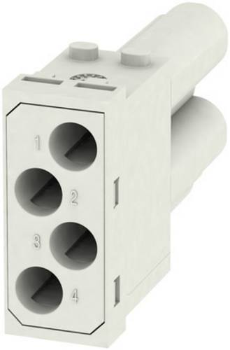 Weidmüller RockStar ModuPlug, Rahmen HDC MF 10B AC Inhalt: 1 St. Rahmen