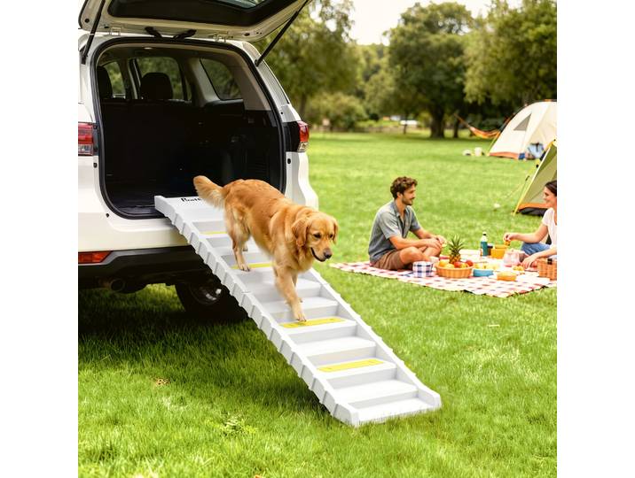 PawHut Rampe Pliable Chien 10 Marches Antidérapante Blanc