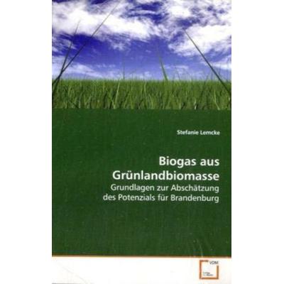 Lemcke, S: Biogas aus Grünlandbiomasse, Taschenbuch von Stefanie Lemcke, VDM, 978-3-639-00873-9