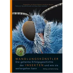 Oliver Meckes, Fachbücher von Claus-Peter Lieckfeld, Nicole Ottawa, Oliver Meckes, Veronika Straaß
