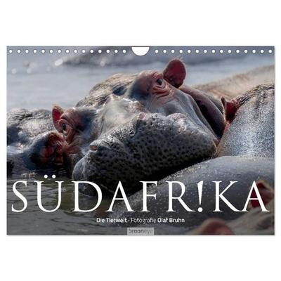 Südafrika - Die Tierwelt (Wandkalender 2027 DIN A4 quer), CALVENDO Monatskalender