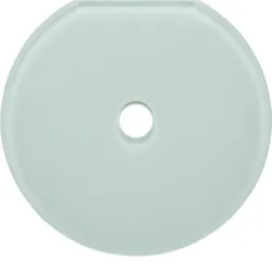 Hager Glas-Endplatte Schalter Serie Glas pw