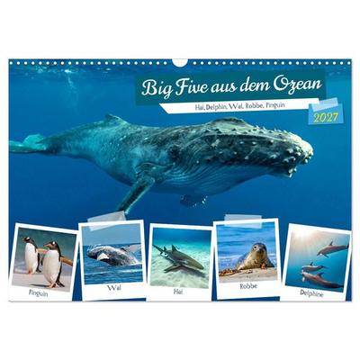 Big Five aus dem Ozean Hai, Delphin, Wal, Robbe, Pinguin (Wandkalender 2027 DIN A3 quer), CALVENDO Monatskalender