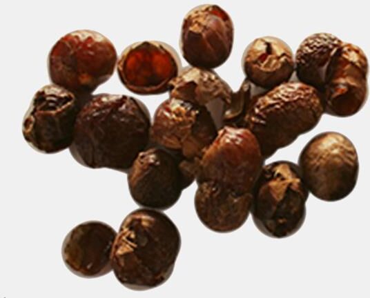 ALDEIA SABAO NOZES DE SAPONARIA 1kg
