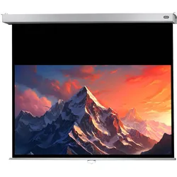 Celexon Rollo Professional Plus (99", 16:9), Leinwand, Weiss