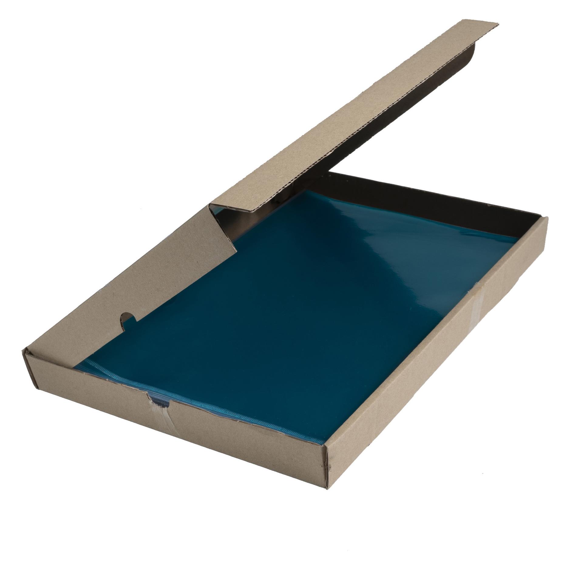 Exacompta Hüllen und Taschen (A4) (661295E)