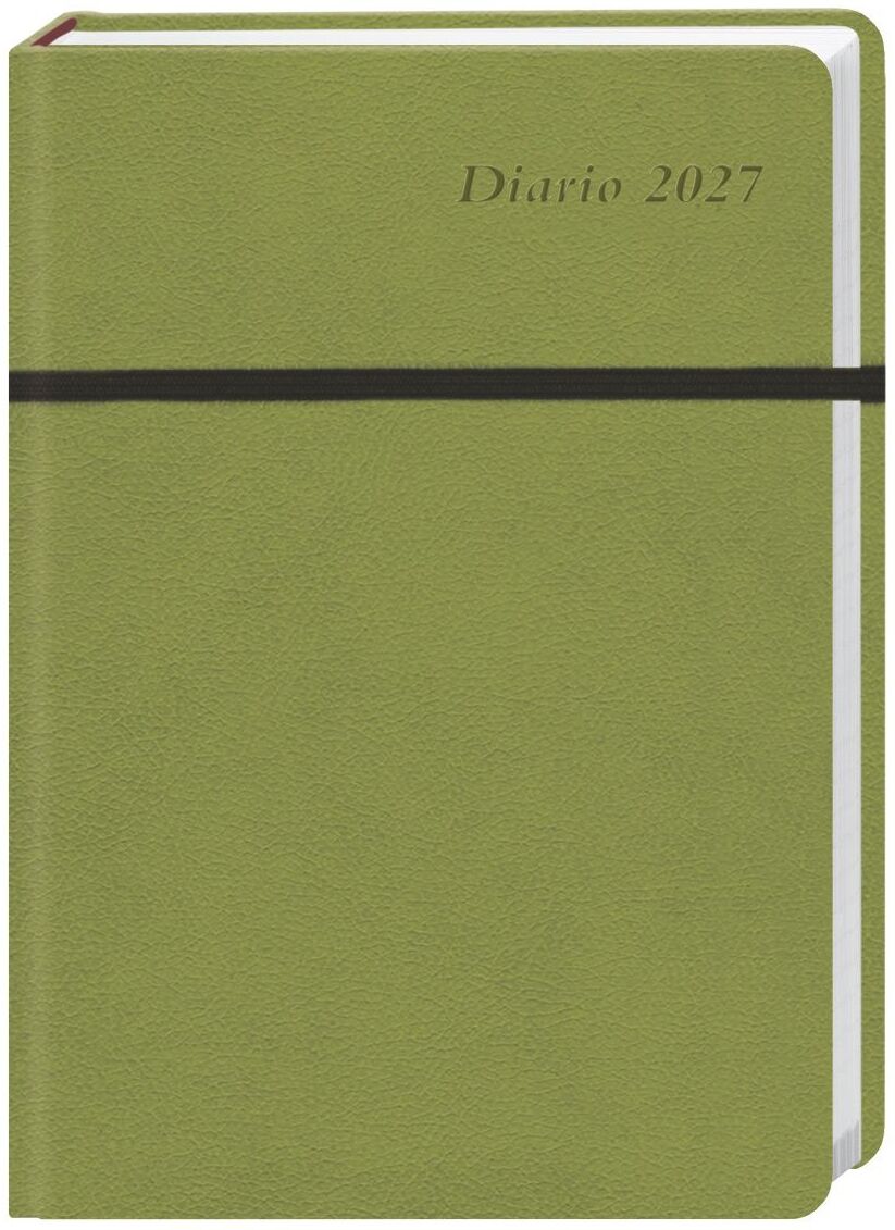 Heye Diario Wochen-Kalenderbuch A6, grün 2027