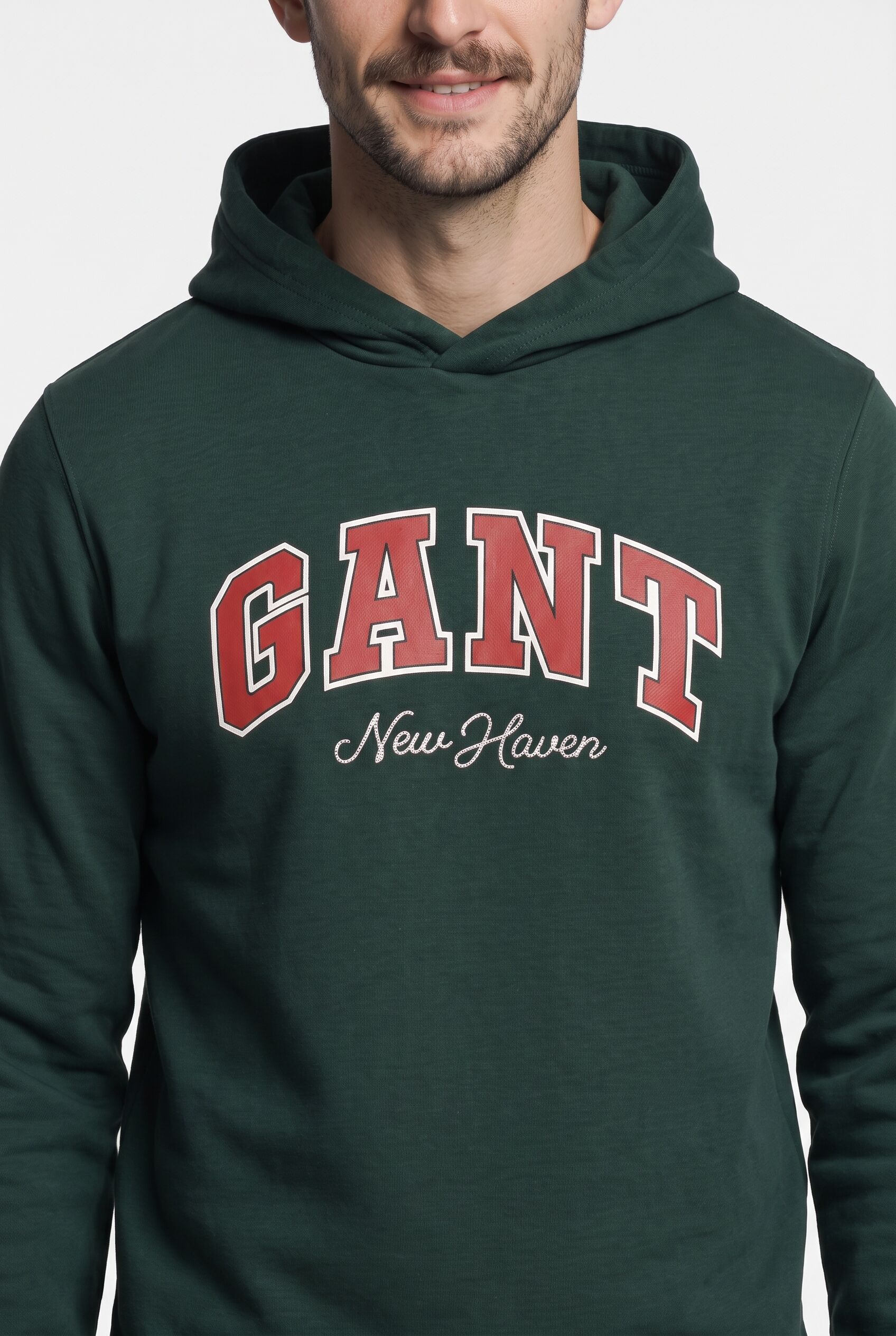 Hoodie GANT "GRAPHIC", Herren, Gr. M, grün (tartan grün), Sweatware, Obermaterial: 80% Baumwolle, 20% Polyester, normal, Bündchen, Sweatshirts Hoodie tartan grün M