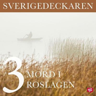 Mord i Roslagen - Stig O. Blomberg, Audio, 9789177354352
